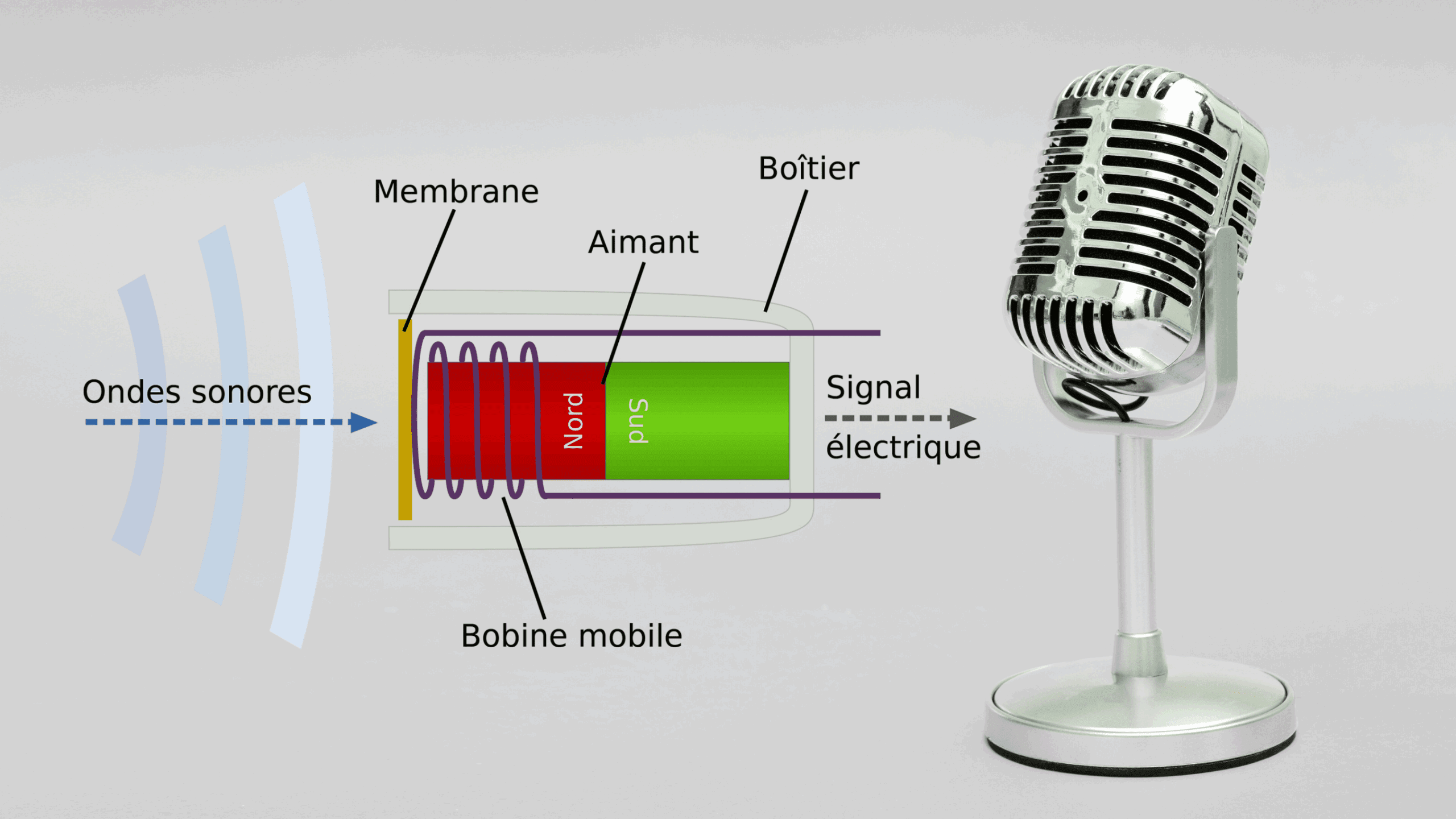 Schéma illustrant le principe de fonctionnement d'un microphone à condensateur. Les ondes sonores font vibrer la membrane, modifiant la distance et la capacité électrique du condensateur pour générer un signal audio.